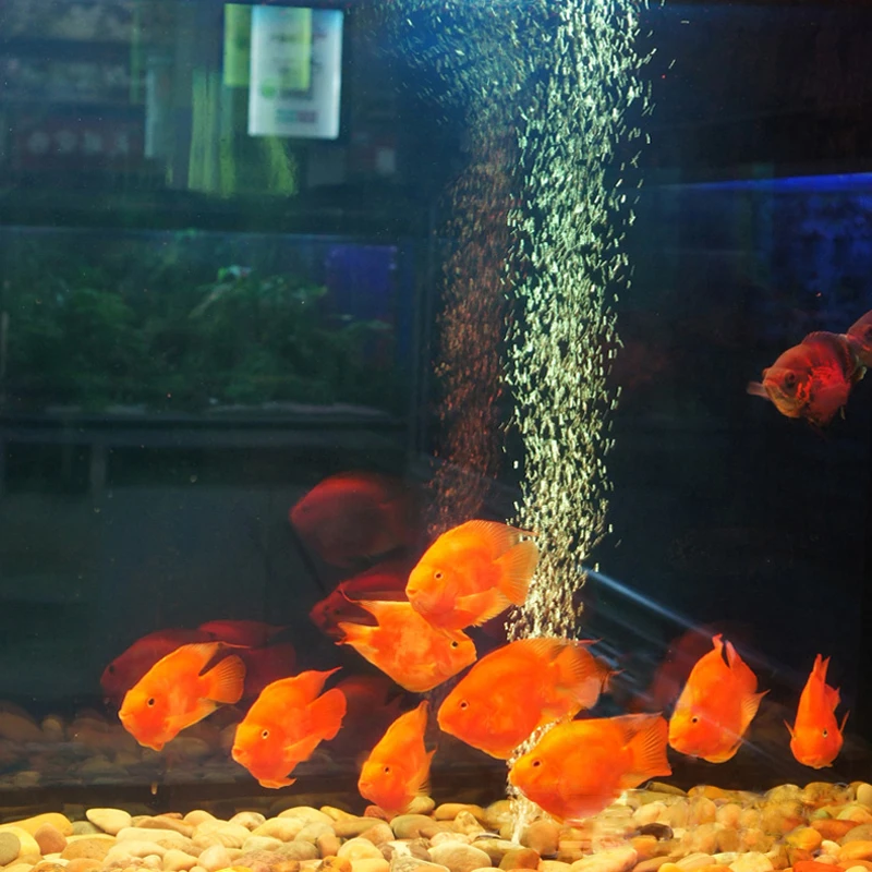 Gas Stone Small Ecological Aquarium Oxygen Pump Ultra-quiet Aerator Sand Head Bubble Stone