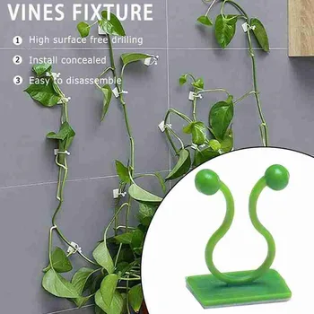 

20pcs Green Invisible Rattan Clamp Plant Climbing Support Wall Fixer Clip Vine Fixed Sticky Suction Cup Hook Indoor Hydroponic