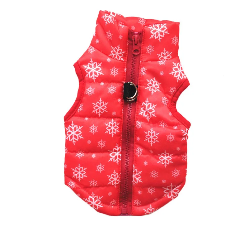 small dog clothes winter