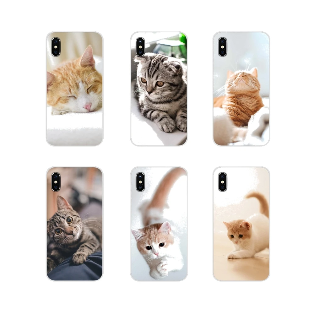 Аксессуары для кошек и котят чехлы телефонов Samsung Galaxy S2 S3 S4 S5 Mini S6 S7 Edge S8 S9 S10E Lite Plus |