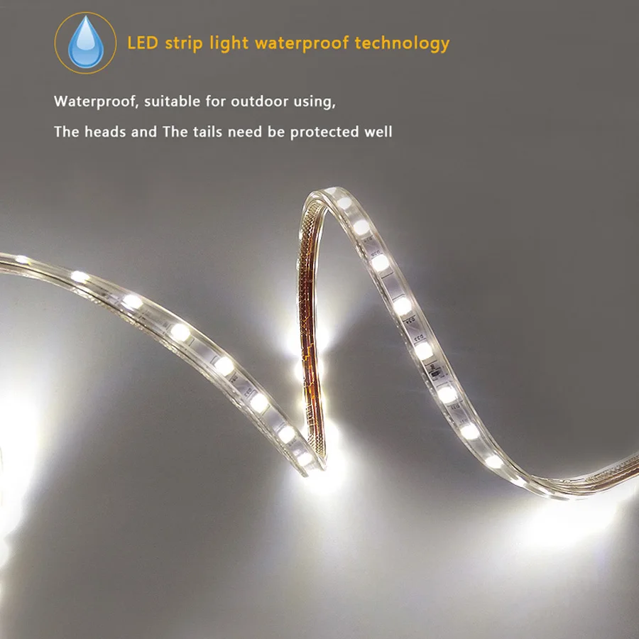 SMD 5050 AC220V LED Strip Flexible Light 60ledsm Waterproof Led Tape LED Light With Power Plug 1M2M3M5M6M8M9M10M15M20M (4)