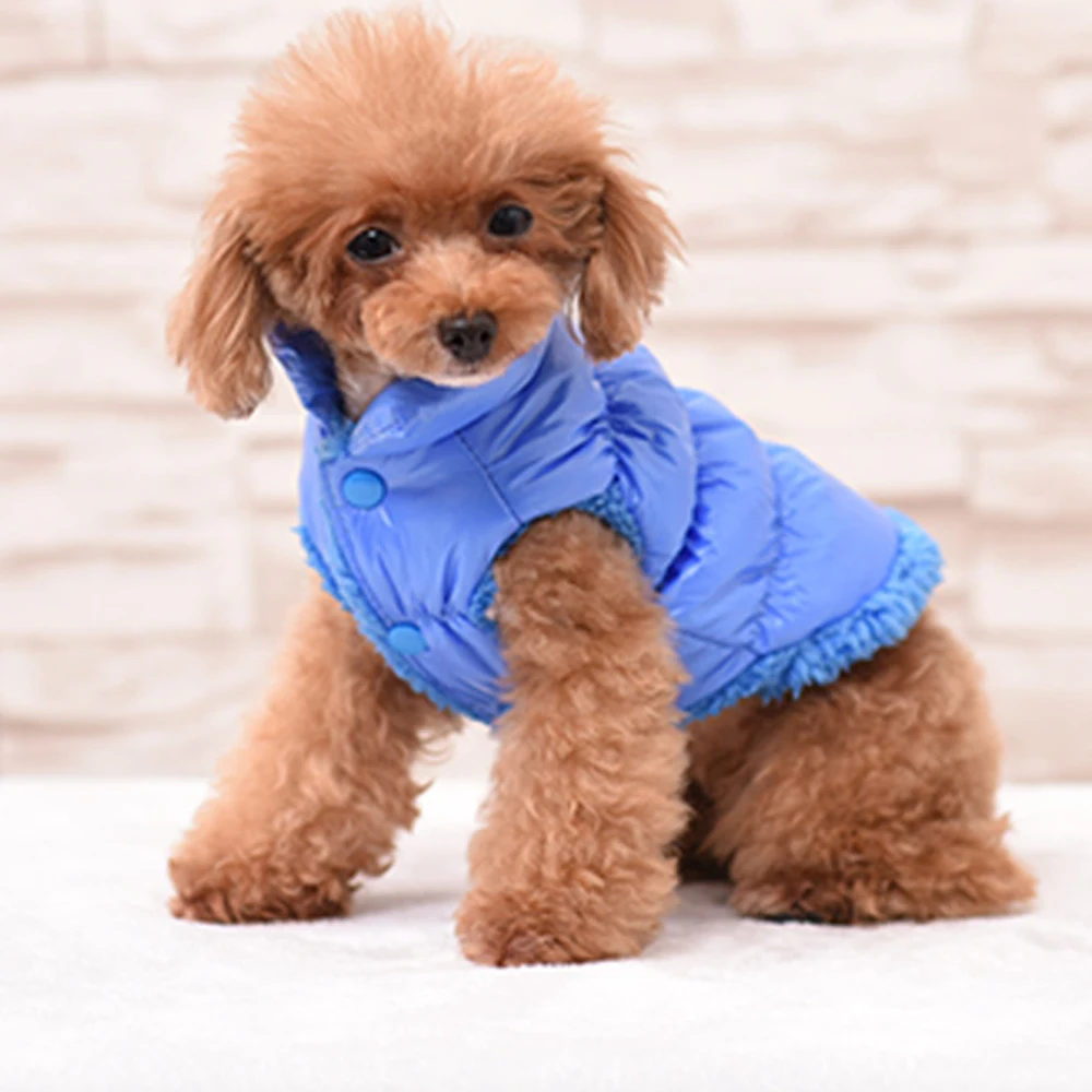 Утолщенная собака породы чихуахуа зимняя одежда водонепроницаемая куртка для собак Теплый Щенок домашних животных пальто для Мопсов, французских бульдогов жилет одежда
