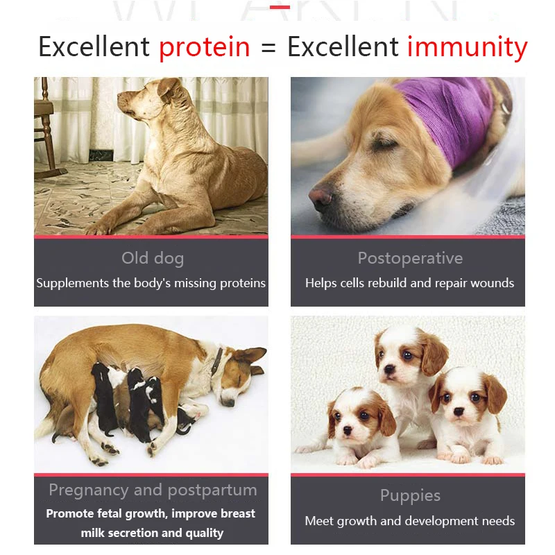 dog nutrition powder