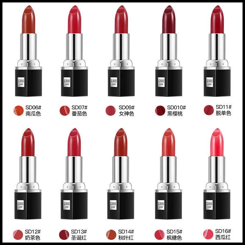 

10 Colors Matte Lipstick Tubes Waterproof Long Lasting Sexy Purple Lipstick Pigments Makeup Never Fade Away