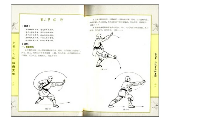 Booculchaha китайский шаолиньский KungFu Wushu книга: shaolin martial Authentic thread grab|wushu books|book bookchinese