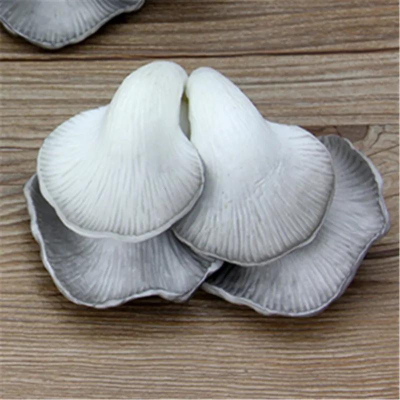 Имитация Модель гриба искусственного овощей Шкаф Кухонные приспособления для декора вечеринки искусственные грибы реквизит для фотографий - Цвет: Design 2