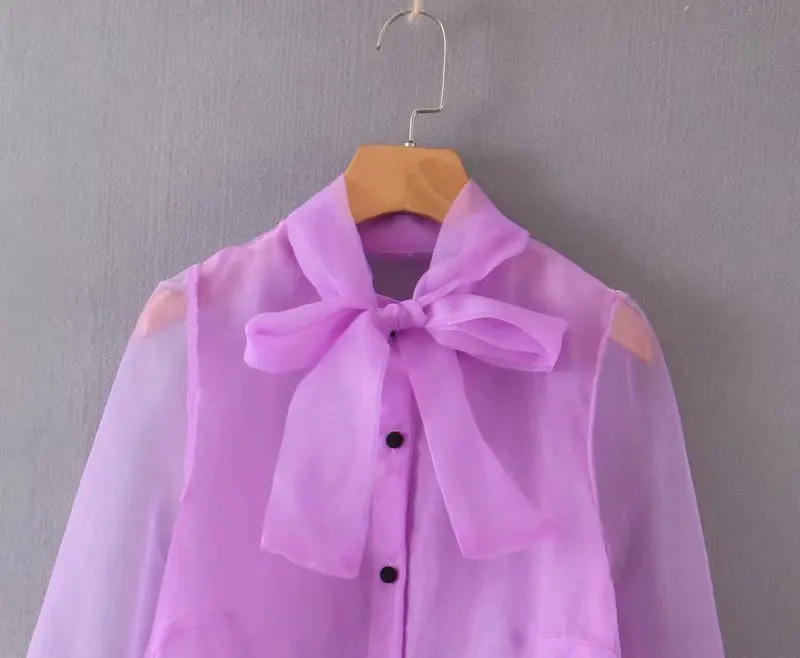 Милые прозрачные рубашки, бабочка рубашки блузки с рукавом-фонариком Топы Осень женская одежда