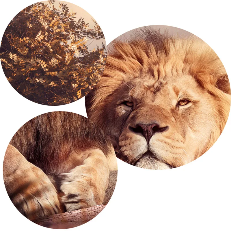 Lion Cub with The Lion King Artwork HQ