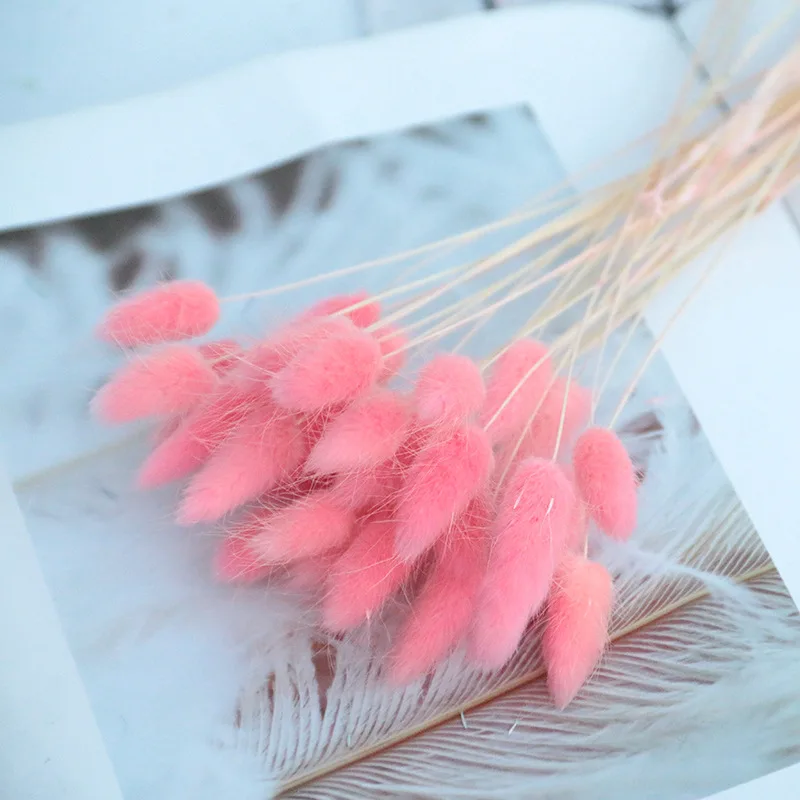 11179157836_1442471722