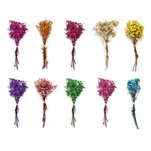 Small Gypsophila A Bunch Of Mini Artificial Dried Flowers Dyeing Natural Furniture Decoration Holding Flowers Bouquet Dry Flower