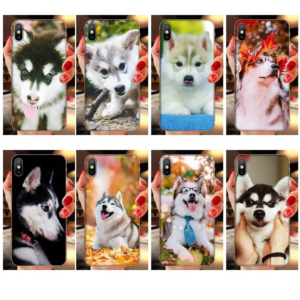 Soft Wholesale Husky Dog For Samsung Galaxy A51 A71 A81 A90 5G A91 A01 S11 S11E S20 Plus Ultra | Мобильные телефоны и