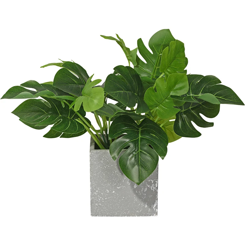 O1CN01pKLSGE24JxyBTXBfk_!!1904287371