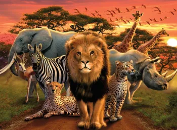 

500 Pieces of African Zoo Jigsaw Puzzle Toys for Gift Toys