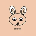 meicy Store