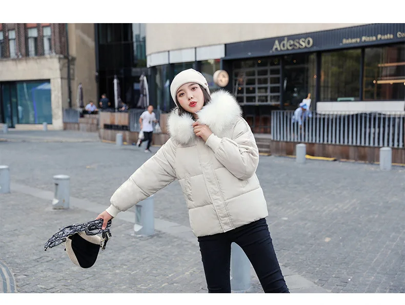 5 Colors Ladies Faux Fur Hooded Short Puffer Jacket New Fashion Parka Casual Loose Winter Jacket Women Warm Bubble Coat