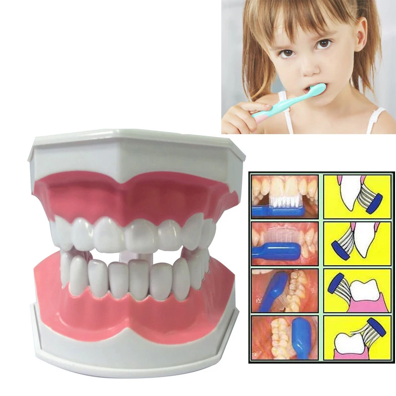 1PC Kids Pretend Play Toy Dentist Check Teeth Model Medical Educational Role Simulation Learing Toys For Children | Игрушки и хобби