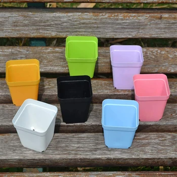 

Home Flower Pot Office Decor Seeds Indoor Multi colored 0.2L With Tray