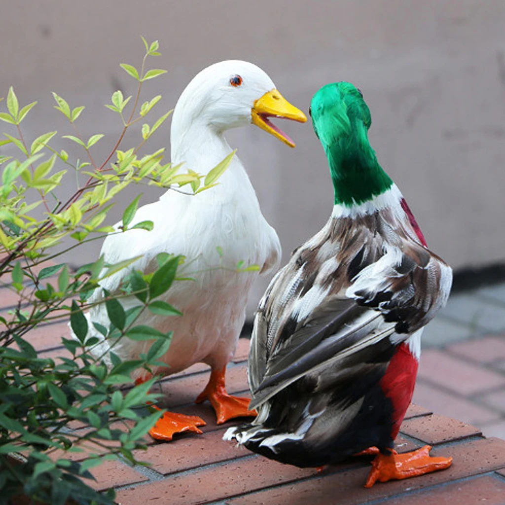 Various Realistic Duck Ornament Figure Outdoor Home Garden Water Pond Decoration DIY Vivid Artificial Feather Craft