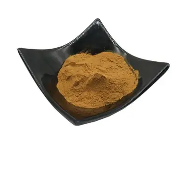 

100g Natural Ginkgobiloba Powder 20:1