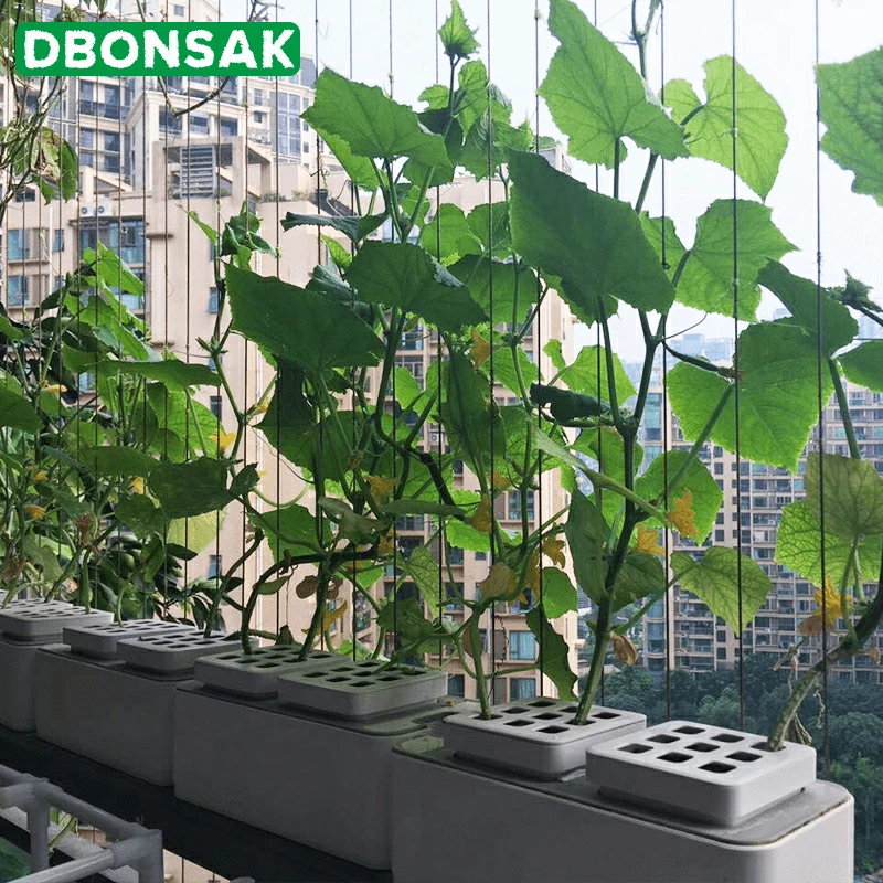 Гидропонное культивирование оборудования Soilless культивирование коробка для посадки интеллектуальный контроль цветочный горшок настольное Выращивание овощей коробка