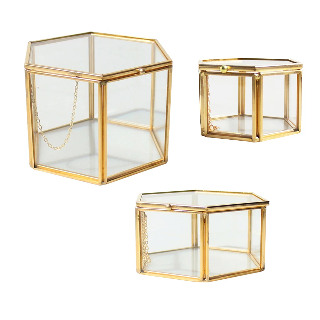 Modern Hexagon Clear Glass Brass Geometric Terrarium Fern Moss Air Plant Display Case Art Home Garden Decor