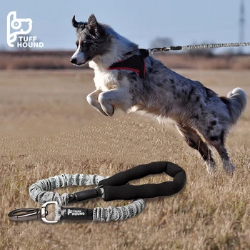 

Extendable Dog Leash High Stretchy Pet Leashes for Running Walking Rope No Pull Shock Absorber Retractable Leash for Large Dogs