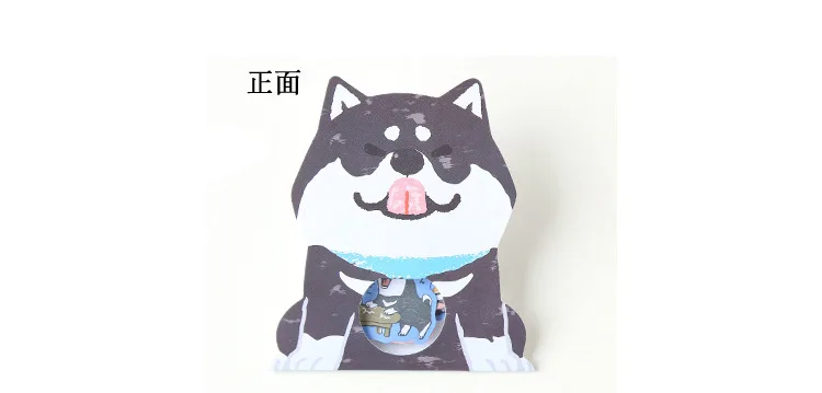 5087030774_577952424