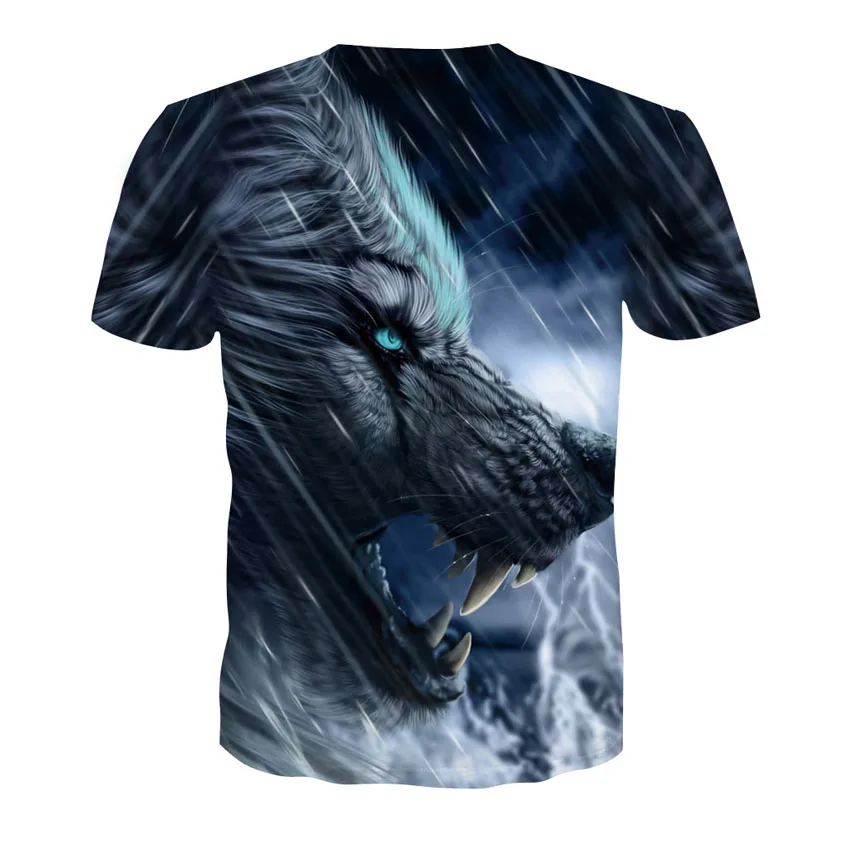 D-125-凯诚T恤短袖模板-后