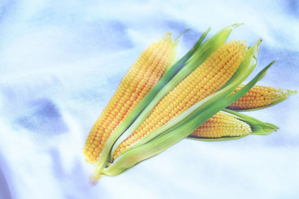 8228283076_361259826