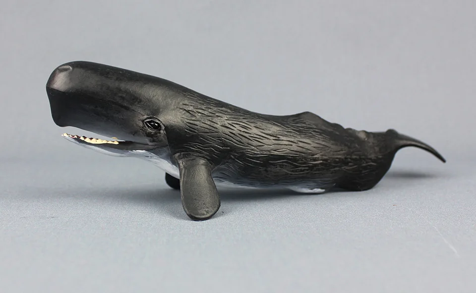 New Sperm Whale Model Marine Organism Whale Oceans Animal Model Plastic Seabed Animal CHILDREN'S Toy Cognitive