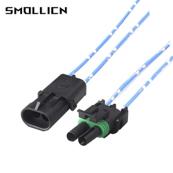 1-50 Sets 2 Pin Delphi GM Male Female Sealed Injector Socket Waterproof Car Electricity Connector With Wire 12015792 12010973