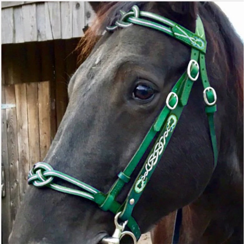 Horse Bridle Horse Rein Harness Headstall Thickened Halter Equestrian Gear PU 