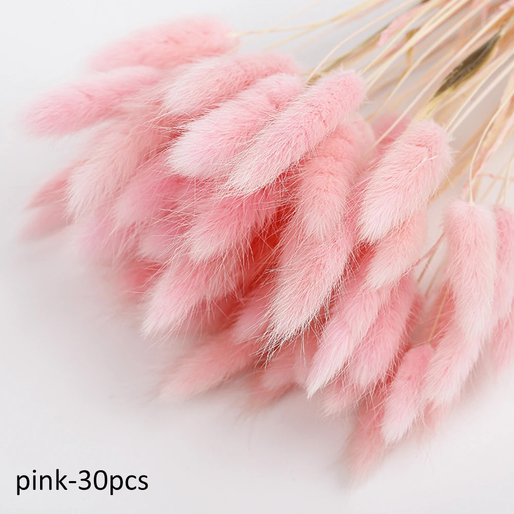 Pink 30 шт./пучок DIY Кролик хвост трава искусственные цветы вечерние свадебные DIY пользу натуральные сухие цветы осенние декоративные букеты - Цвет: Pink