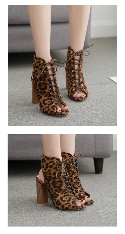 11356725814_855635146