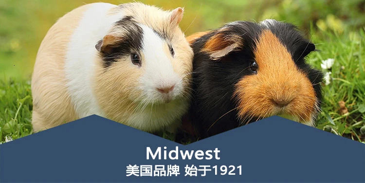 Американский Midwest Дракон кошка Забор Pet Ferret забор ветра для предотвращения пробоя