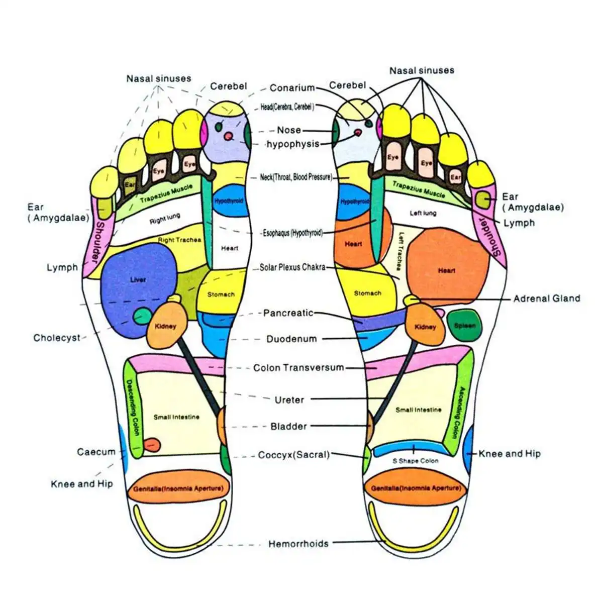 Automática de Massagem Cuidados com os Pés Infravermelho Reflexologia Podal Massageador Elétrico Máquina Terapia Circulação Aquecedor Spa 220v 8 elétrica automática massagem cuidados com os pés