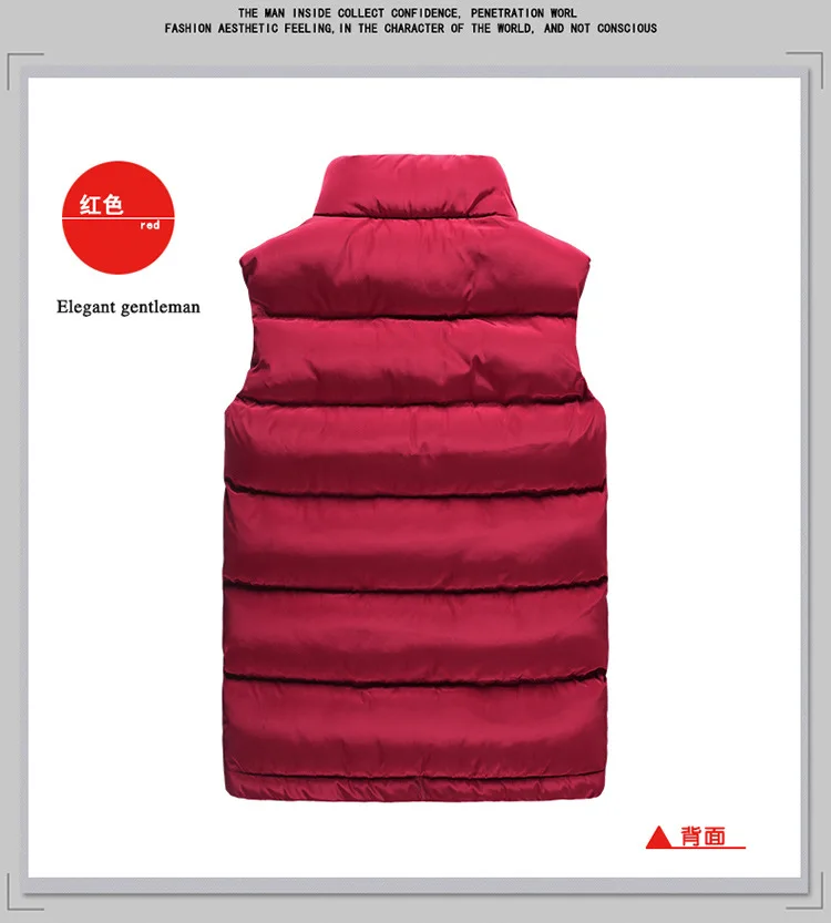 Winter down Cotton Stand Collar Casual Vest New Style Men's Plus-sized Menswear Thick Vest Men's Waistcoat