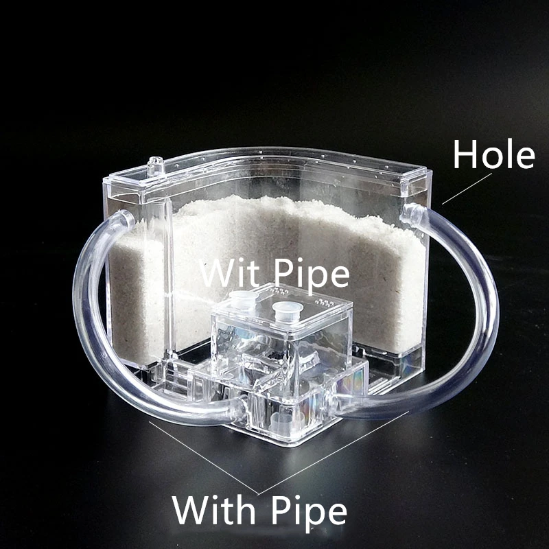 Бесплатная песок муравейника Гнездо дом с площадь питания белом песчаном Акрил