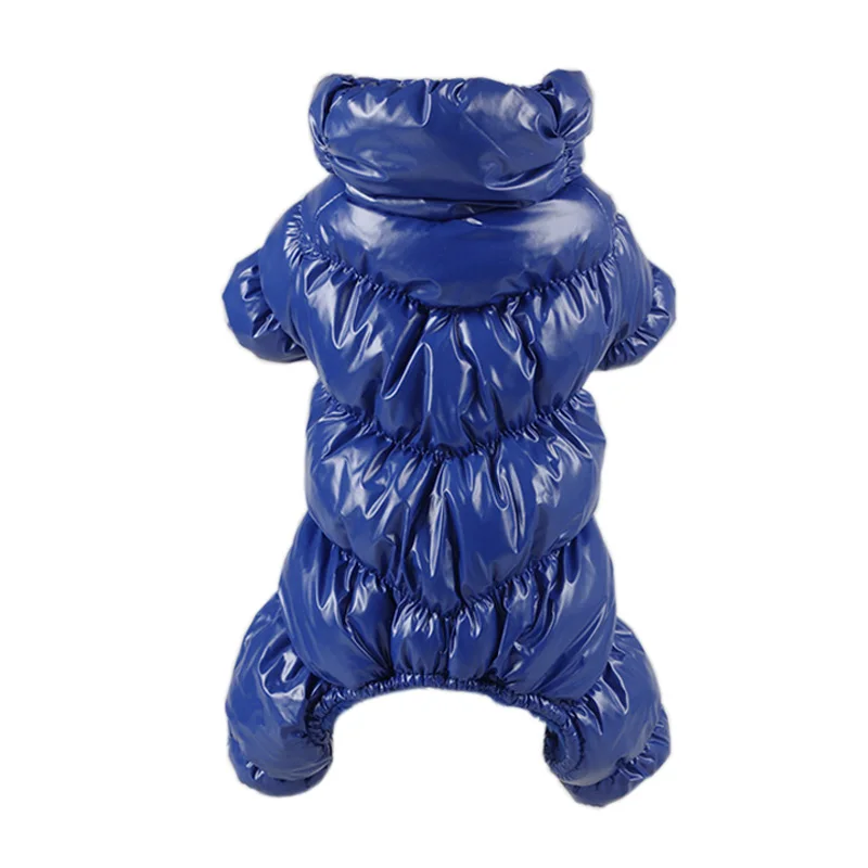 Warm winter Sphynx Cat jacket