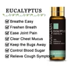 Eucalyptus