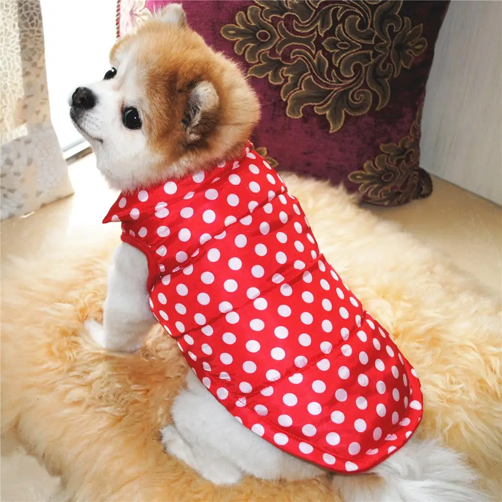 Clothing Winter Dogs Coat  My Pet World Store
