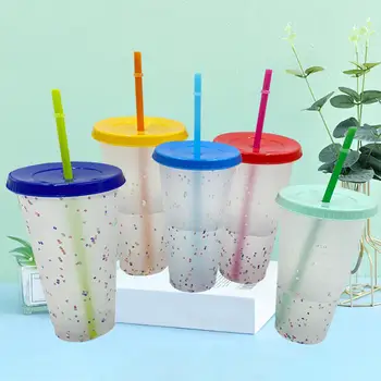 

5Pcs/Set Reusable 5 Color PP Temperature Sensitive Color Changing Bottle Cup with Straw Plastic Coffee Cup Drinkware Bottles