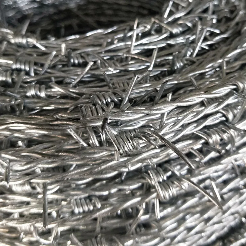 Hot Dipped Galvanized Steel Barbed Wire Farm Protective Rope Fence 100m