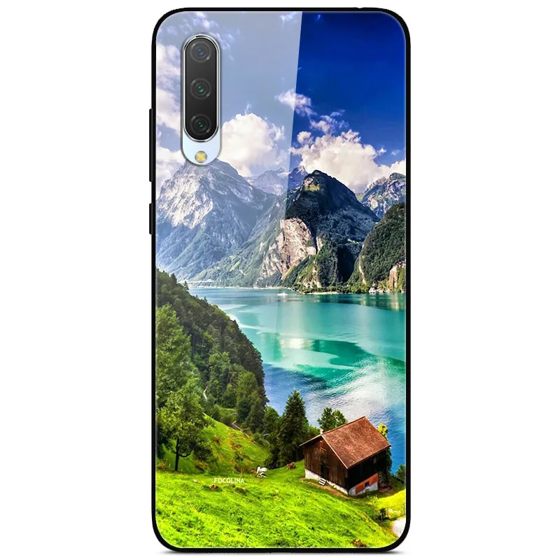 12 Для Xiaomi mi 9 Lite Чехол с милым рисунком стеклянный задняя панель жесткий обложка чехлы для Xiaomi mi 9 lite чехол для телефона mi9 лайт бампер - Цвет: 12