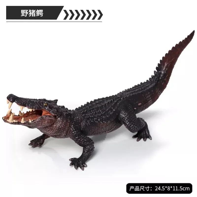 

1 PCS static solid simulation amphibian PVC plastic crocodile model BoarCroc M-12001
