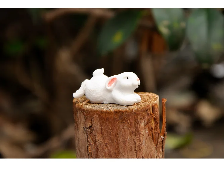 10768646815_360938011