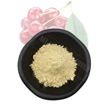 A-амилаза, Пищевой Фермент средней температуры сжижения, пищевая добавка, пищевая Альфа амилаза, подготовка ферментов