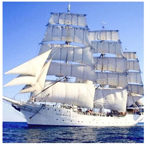 QQ图片20200627154853