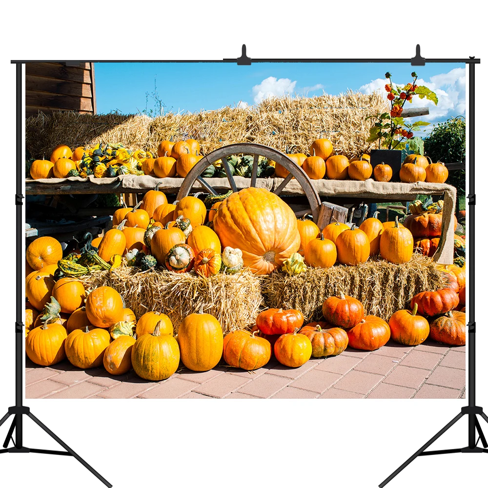 Фотофон Lyavshi для студийной фотосъемки с изображением осенней Сены деревянного