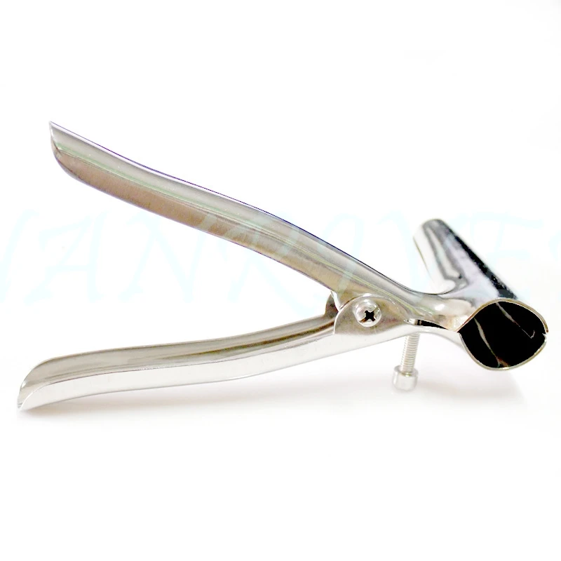 1787139245_1170103765